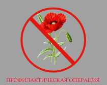 В Майминском районе продолжается оперативно-профилактическая операция «Мак-2025»