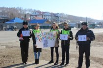 В Майминском районе автоинспекторы и ЮИДовцы провели акцию «Пристегнись сам, пристегни ребенка!»