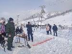 Соревнования по национальным видам спорта в рамках районного празднике "Чага Байрам 2020"