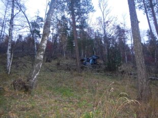 В Майминском районе при заготовке древесины погиб тракторист