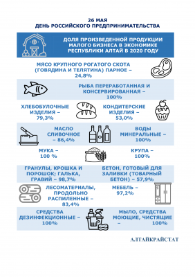 День российского предпринимательства в цифрах статистики