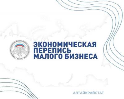  ПРИЕМ ОТЧЕТОВ ПО ЭКОНОМИЧЕСКОЙ ПЕРЕПИСИ МАЛОГО БИЗНЕСА