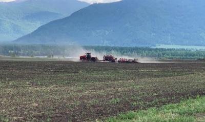О сельском хозяйстве Республики Алтай в январе-мае 2021 года