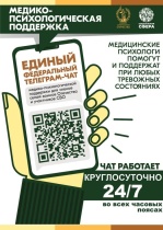 О едином федеральном чате Комитета семей воинов Отечества 