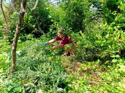 Волонтеры продолжают творить добро