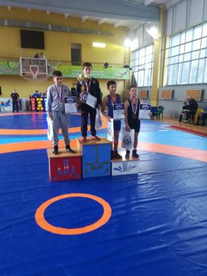 IX Межрегиональный турнир по спортивной борьбе (греко-римской борьбе).
