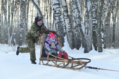 Катание на ездовых  собаках