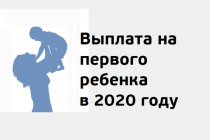 О ежемесячной денежной выплате на первенца в 2020 году