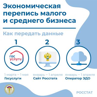 Экономическая перепись малого бизнеса 