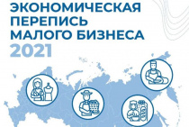 Росстат проведет экономическую перепись малого бизнеса в 2021 году 