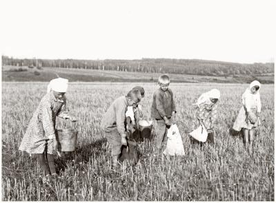 Детство под знаком скорби и печали