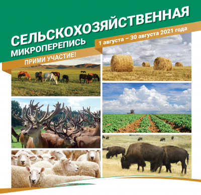 СЕЛЬСКОХОЗЯЙСТВЕННАЯ МИКРОПЕРЕПИСЬ-2021: РАССКАЖИ О СВОЕМ ТРУДЕ! 