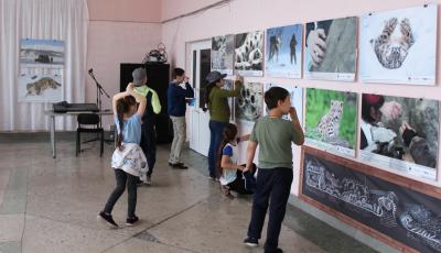 Дан старт квесту  «Пятнистое сокровище» 