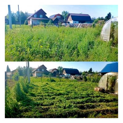 Социальное волонтерство