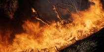 ЕДДС информирует: в Республике Алтай устанавливается высокая пожароопасность