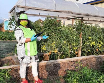 Медиана сельскохозяйственной микропереписи пройдена