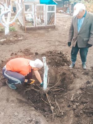 Добро без карантина