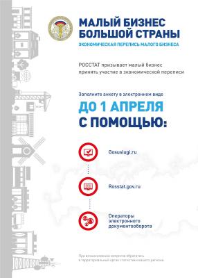 ЭКОНОМИЧЕСКАЯ ПЕРЕПИСЬ МАЛОГО БИЗНЕСА