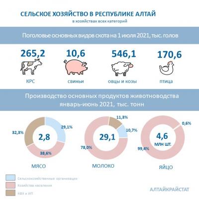О сельском хозяйстве Республики Алтай в январе-июне 2021 года