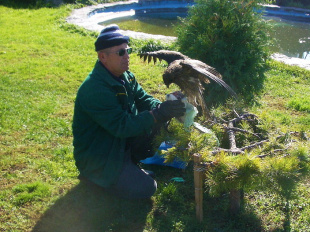 23 сентября свой юбилейный день рождения отмечает руководитель Общества охотников и рыболовов Майминского района Александр Валерьевич Остапенко